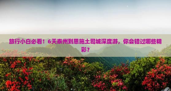 旅行小白必看！6天泰州到恩施土司城深度游，你会错过哪些精彩？