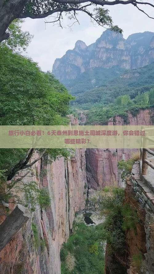旅行小白必看！6天泰州到恩施土司城深度游，你会错过哪些精彩？