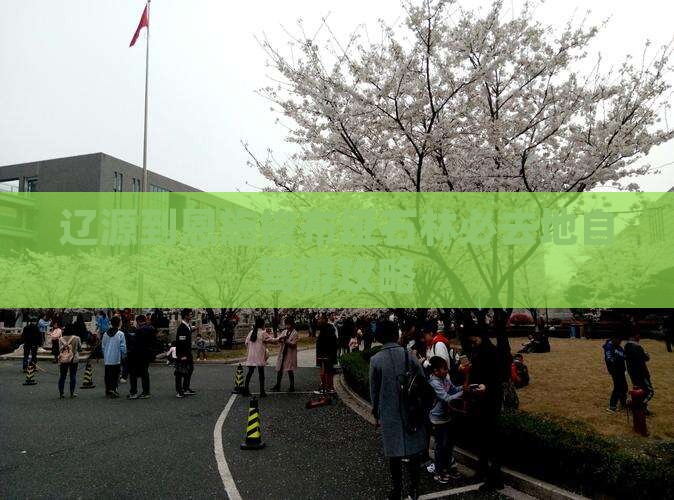 辽源到恩施梭布垭石林必去地自驾游攻略