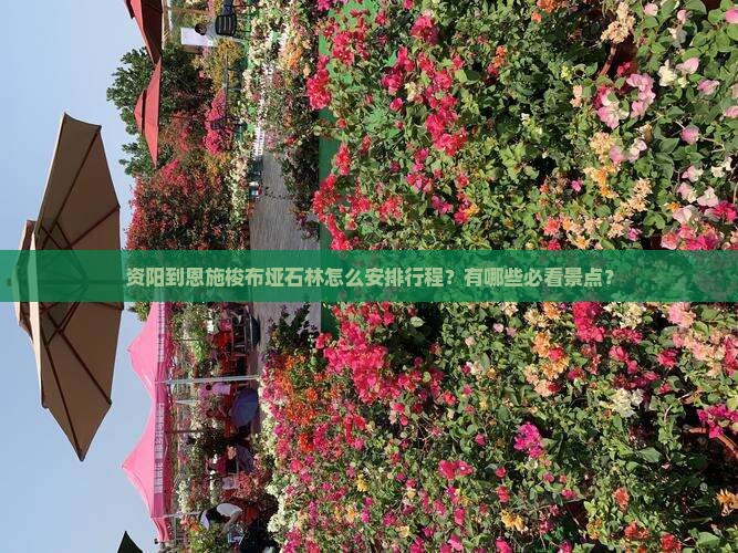 资阳到恩施梭布垭石林怎么安排行程？有哪些必看景点？