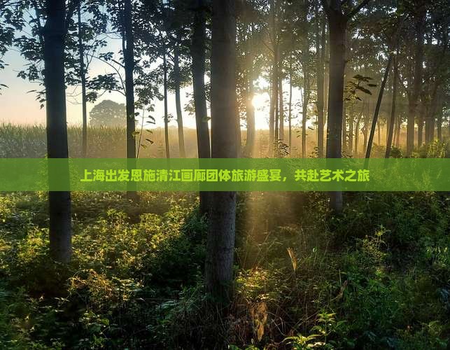 上海出发恩施清江画廊团体旅游盛宴，共赴艺术之旅