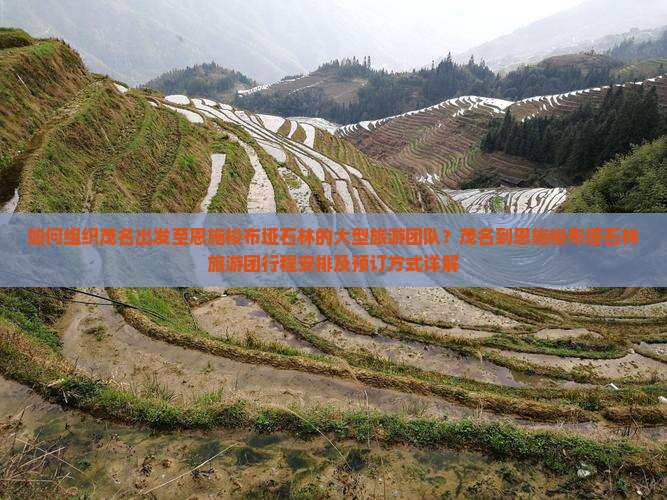 如何组织茂名出发至恩施梭布垭石林的大型旅游团队？茂名到恩施梭布垭石林旅游团行程安排及预订方式详解