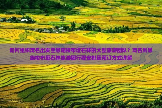 如何组织茂名出发至恩施梭布垭石林的大型旅游团队？茂名到恩施梭布垭石林旅游团行程安排及预订方式详解