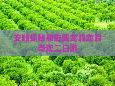 安顺探秘恩施腾龙洞龙洞奇观二日游