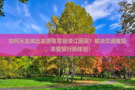 如何从盐城出发游览恩施清江画廊？解决交通难题，享受旅行新体验！