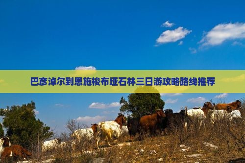 巴彦淖尔到恩施梭布垭石林三日游攻略路线推荐