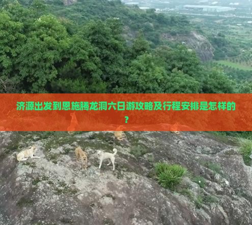 济源出发到恩施腾龙洞六日游攻略及行程安排是怎样的？