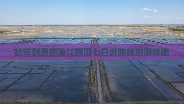 鹤岗到恩施清江画廊七日游路线旅游攻略