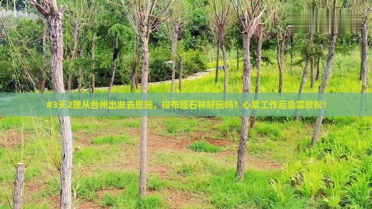 #3天2晚从台州出发去恩施，梭布垭石林好玩吗？心累工作后急需放松！