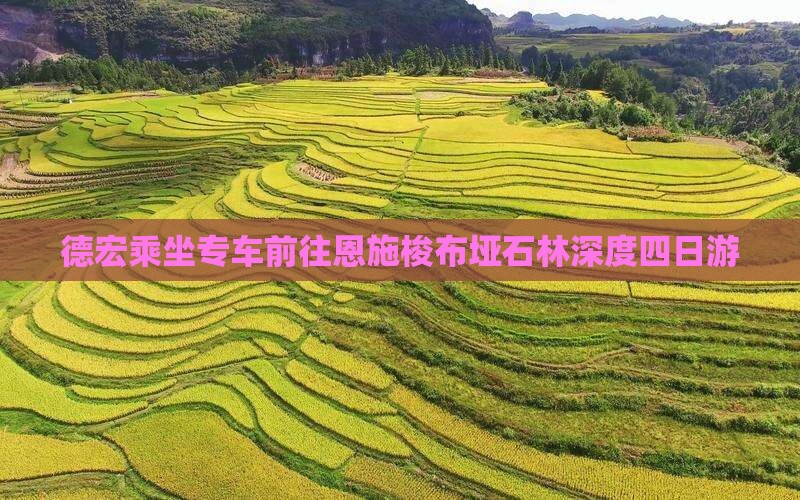 德宏乘坐专车前往恩施梭布垭石林深度四日游