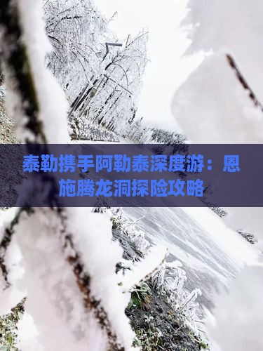 泰勒携手阿勒泰深度游：恩施腾龙洞探险攻略