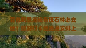百色到恩施梭布垭石林必去地？旅游打卡地通通安排上！