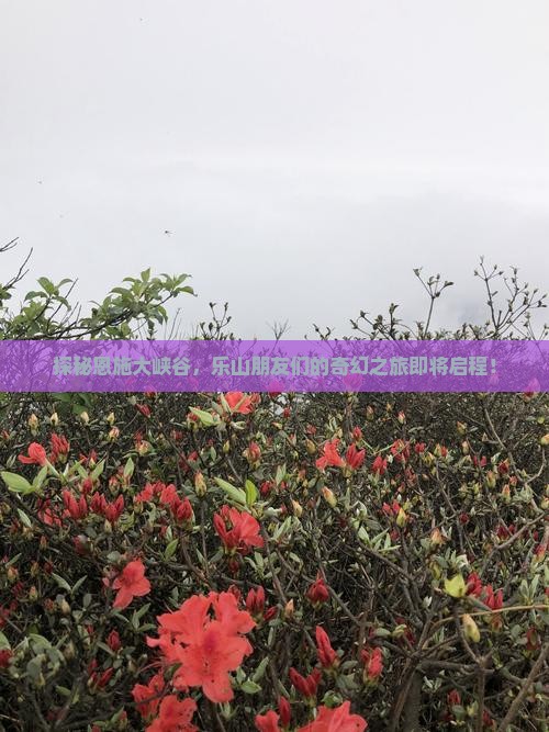 探秘恩施大峡谷，乐山朋友们的奇幻之旅即将启程！