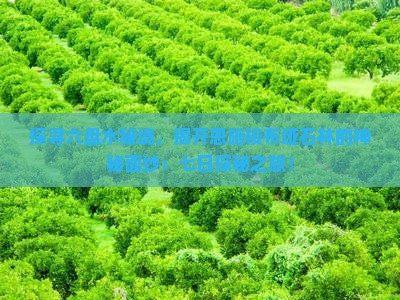 探寻六盘水秘境，揭开恩施梭布垭石林的神秘面纱：七日探秘之旅！
