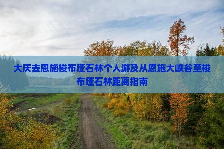 大庆去恩施梭布垭石林个人游及从恩施大峡谷至梭布垭石林距离指南