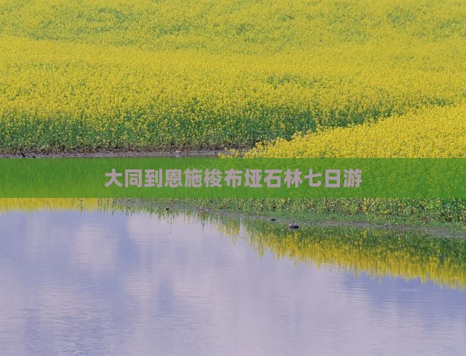 大同到恩施梭布垭石林七日游
