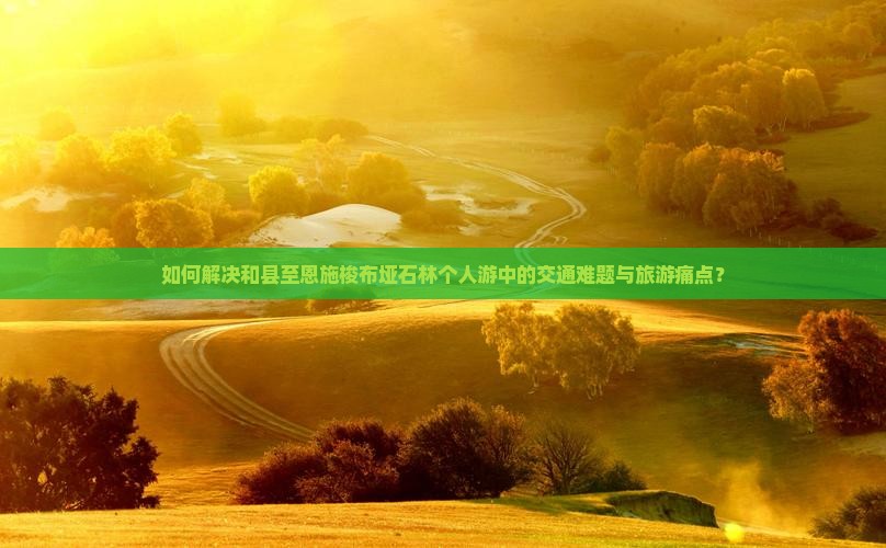 如何解决和县至恩施梭布垭石林个人游中的交通难题与旅游痛点？