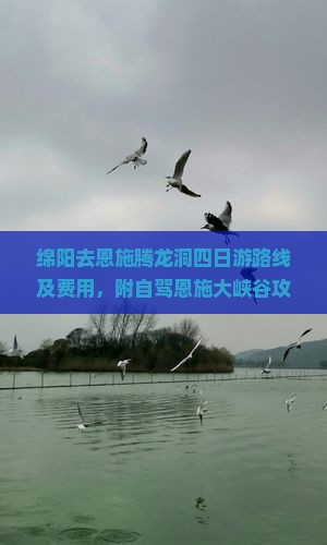 绵阳去恩施腾龙洞四日游路线及费用，附自驾恩施大峡谷攻略