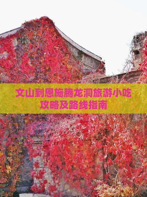 文山到恩施腾龙洞旅游小吃攻略及路线指南