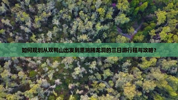 如何规划从双鸭山出发到恩施腾龙洞的三日游行程与攻略？