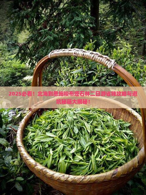 北海到恩施梭布垭石林二日游