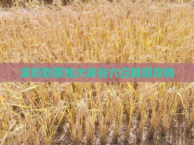 深圳到恩施大峡谷六日游