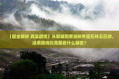 聊城到恩施梭布垭石林五日游
