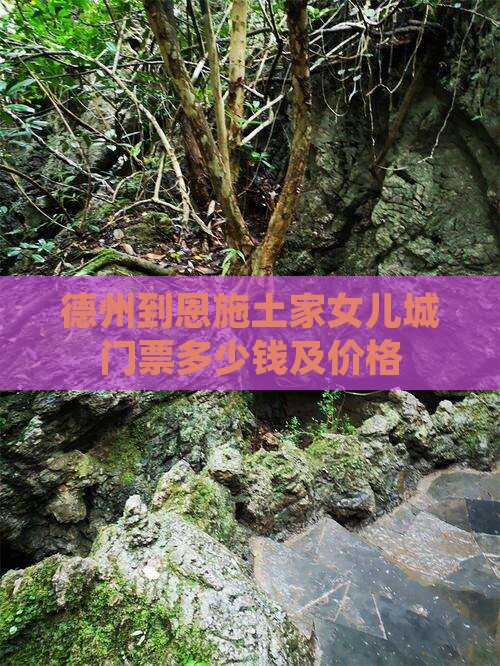 德州到恩施土家女儿城门票
