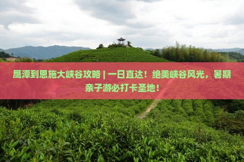 鹰潭到恩施大峡谷攻略