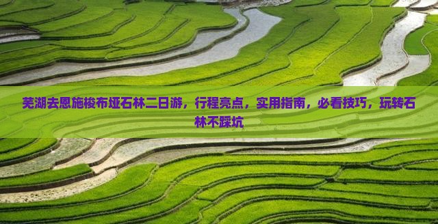 芜湖去恩施梭布垭石林二日游