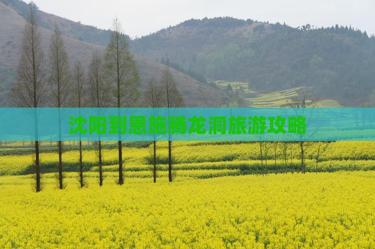 沈阳去恩施腾龙洞景点