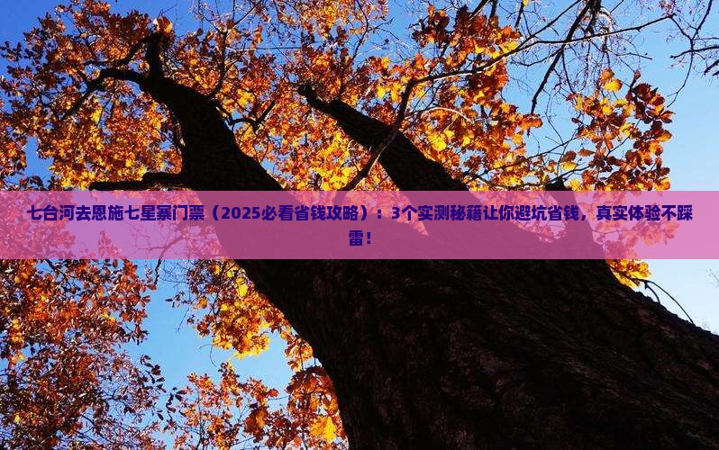 七台河去恩施七星寨门票