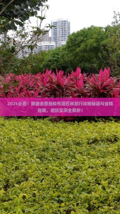 那曲去恩施梭布垭石林旅行社