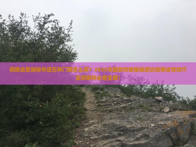 铜陵去恩施梭布垭石林门票