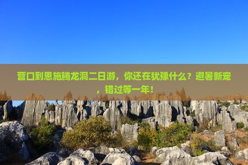 营口到恩施腾龙洞二日游