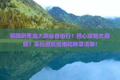 铜陵到恩施大峡谷自由行？担心攻略太麻烦？来份避坑指南和种草清单！
