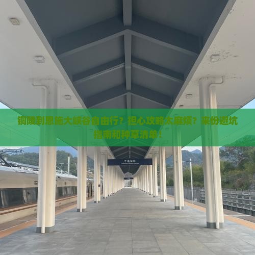 铜陵到恩施大峡谷自由行？担心攻略太麻烦？来份避坑指南和种草清单！