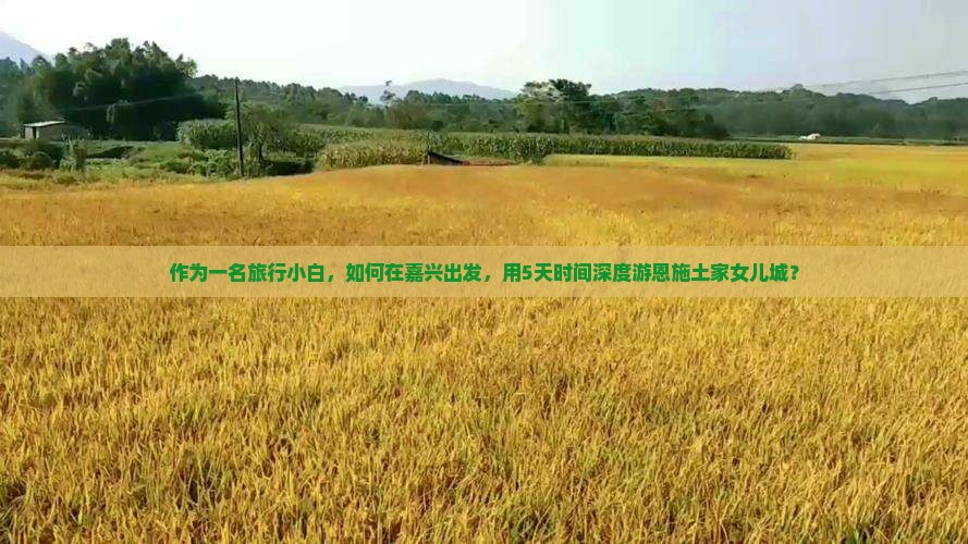 作为一名旅行小白，如何在嘉兴出发，用5天时间深度游恩施土家女儿城？
