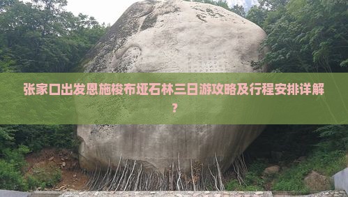 张家口出发恩施梭布垭石林三日游攻略及行程安排详解？