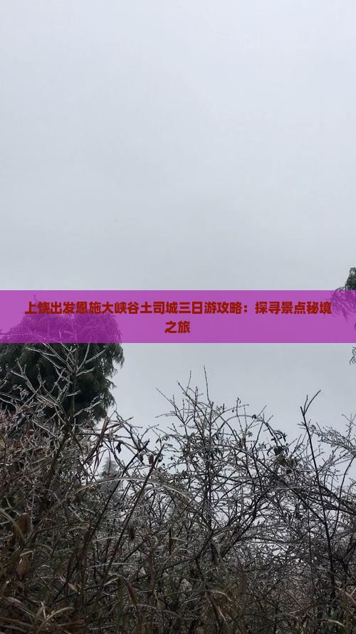 上饶出发恩施大峡谷土司城三日游攻略：探寻景点秘境之旅