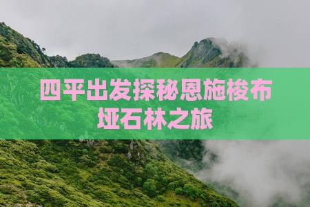 四平出发探秘恩施梭布垭石林之旅