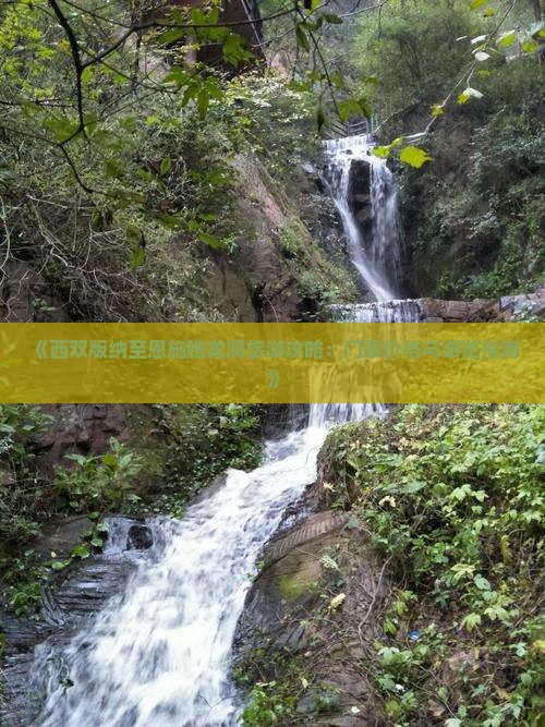 《西双版纳至恩施腾龙洞旅游攻略：门票价格与游览指南》