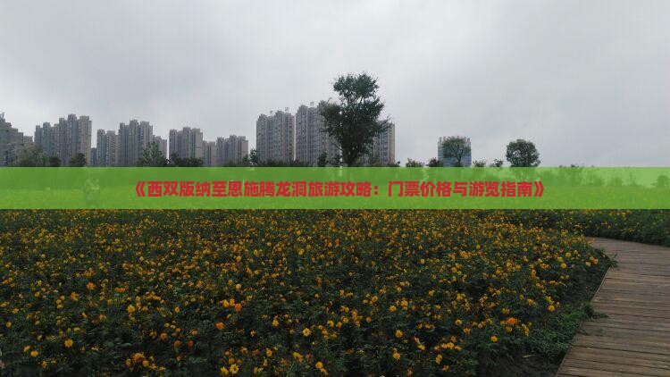 《西双版纳至恩施腾龙洞旅游攻略：门票价格与游览指南》