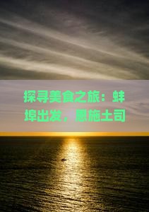 探寻美食之旅：蚌埠出发，恩施土司城那些不可错过的地道小吃有哪些？