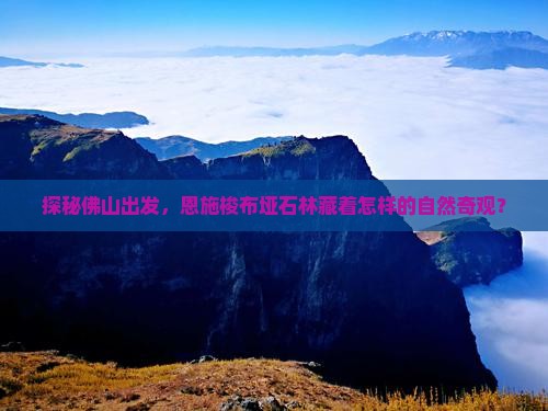 探秘佛山出发，恩施梭布垭石林藏着怎样的自然奇观？