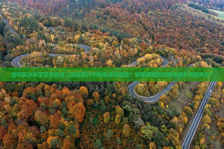 如何解决林芝至恩施清江画廊旅行中的痛点和难题？掌握哪些新攻略能提升游览体验？