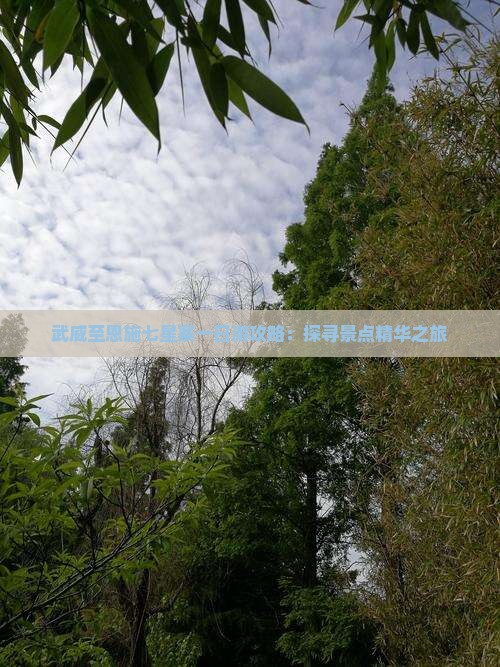 武威至恩施七星寨一日游攻略：探寻景点精华之旅