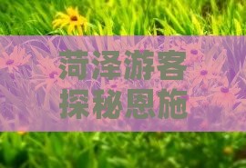 菏泽游客探秘恩施梭布垭石林旅游美食之旅