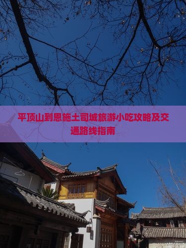平顶山到恩施土司城旅游小吃攻略及交通路线指南