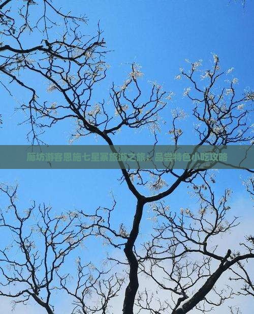 廊坊游客恩施七星寨旅游之旅：品尝特色小吃攻略